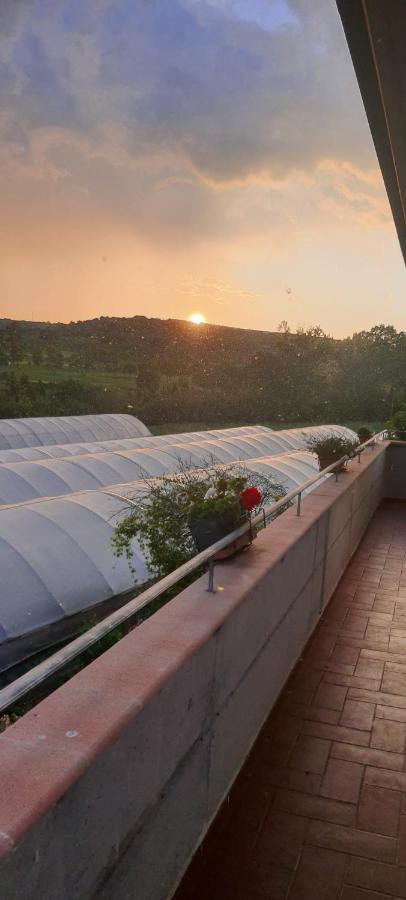 Casa Vacanze Cerreto 3 Miglianico Luaran gambar